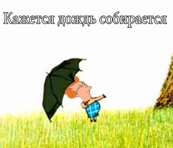 Кажется дождь начинается. Винни пух кажется дождь начинается. кажется дождь собирается. пятачок кажется дождь начинается.
