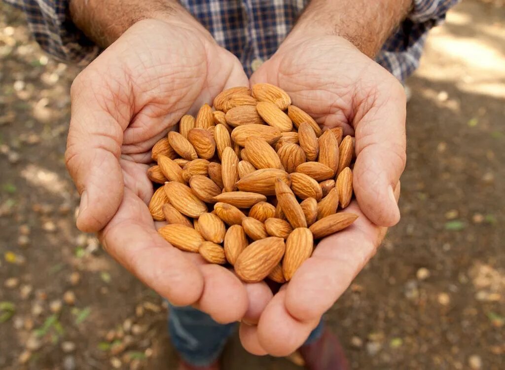 Какой миндаль лучше. Миндаль Almond. Миндаль сырой. Горсть миндаля. Орешки миндаль в руке.