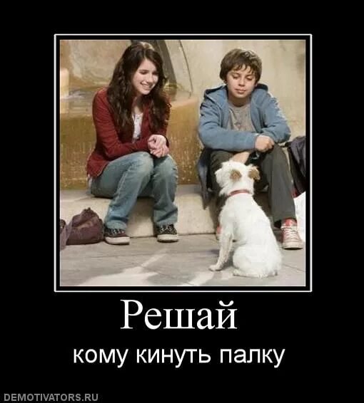Любить как собака палку значение. Кинуть палку. кинул палку подруге. что значит кидать палку. демотиватор хозяин кинешь палку.