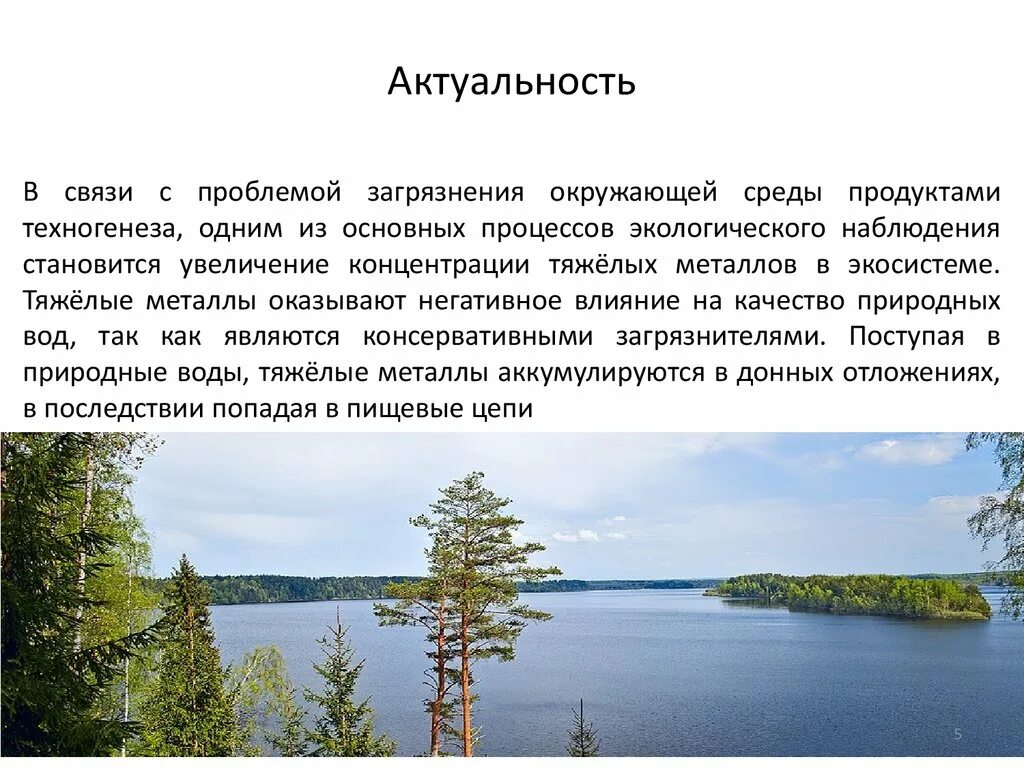 Какую особую среду. Какую особую среду