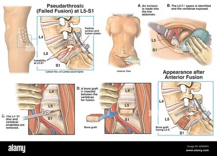 L 5 9
