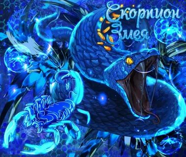 Змея скорпион 2024 год