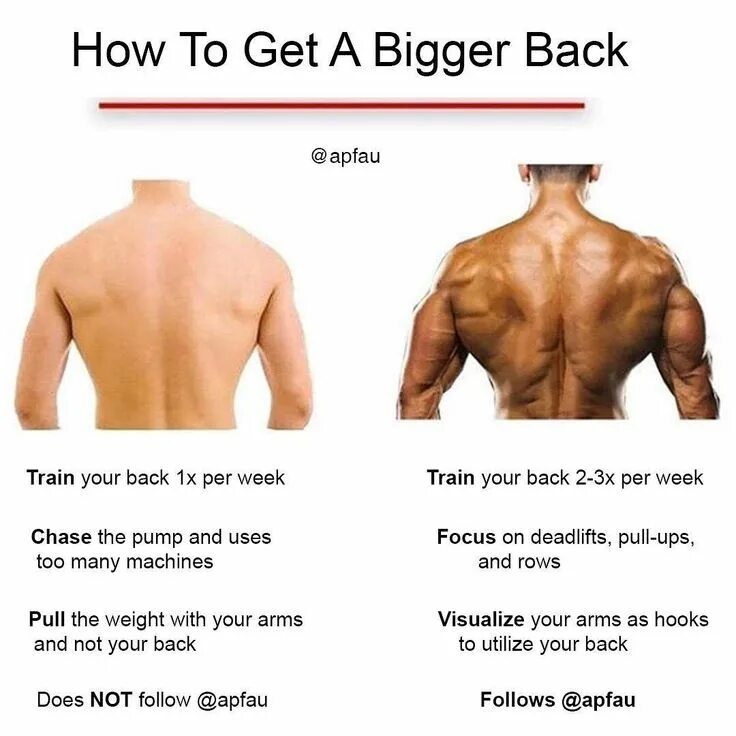 How big is 3 3. How to get. back training. get back to. pull back.