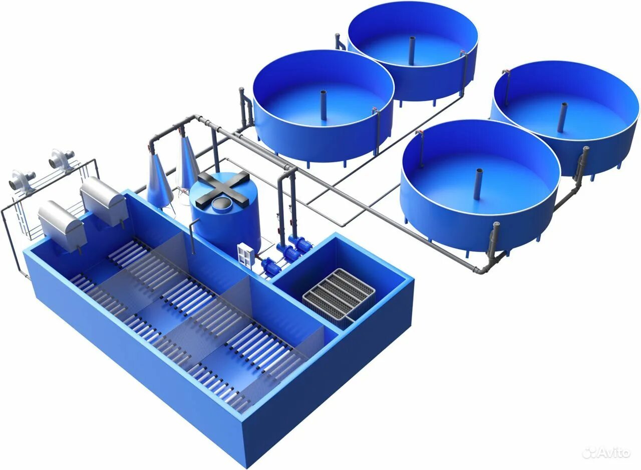 Узв для рыбы купить. Бассейны для форели УЗВ. Осетровая ферма УЗВ. Аква фермер УЗВ. Аквакультура УЗВ.