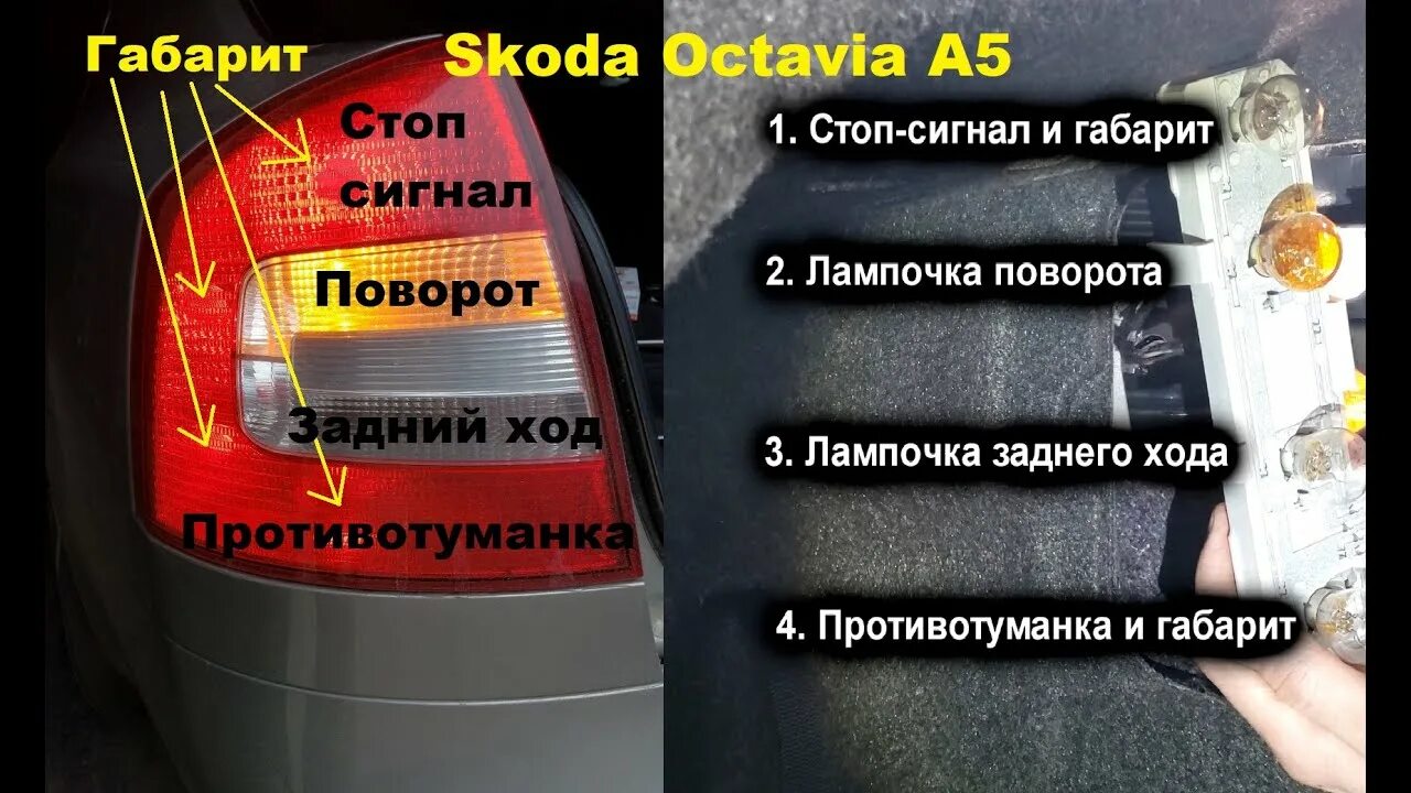 Octavia a5 лампочки