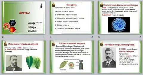 История вирусов биология