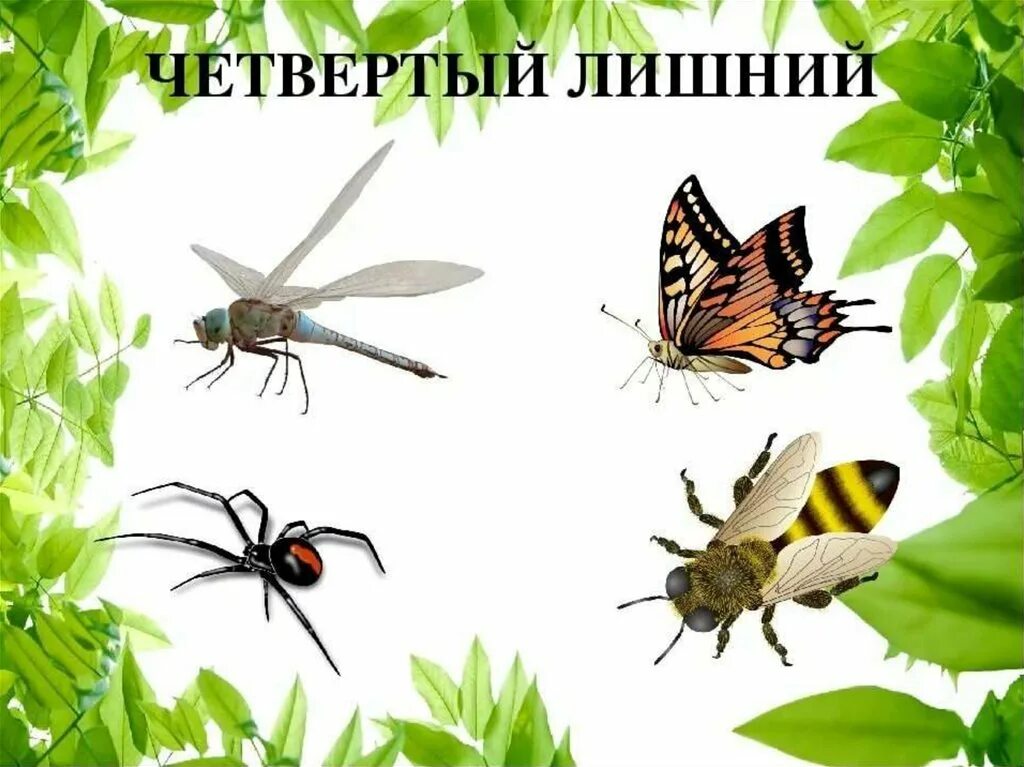 Аудиосказка про насекомых