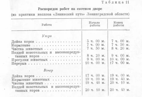 Режим работы животных