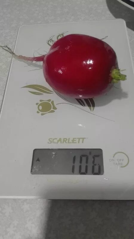 Редис калории на 100. Вес редиски. 100 грамм редиса.