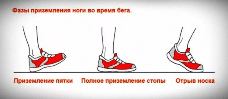 Как правильно устанавливать стопы. Ходьба перекатом с пятки на носок. Биомеханика стопы при ходьбе. Биомеханика стопы движения стопы. Как правильно устанавливать стопы.