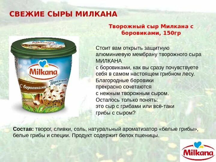 Творожный сыр Milkana. Состав творожного сыра. Бренды творожного сыра. Образцы творожного сыра.