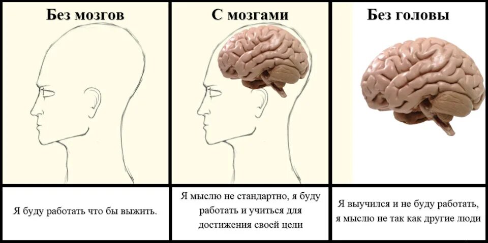 В ее черепной коробке нету