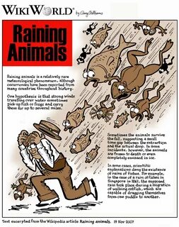 Raining animals