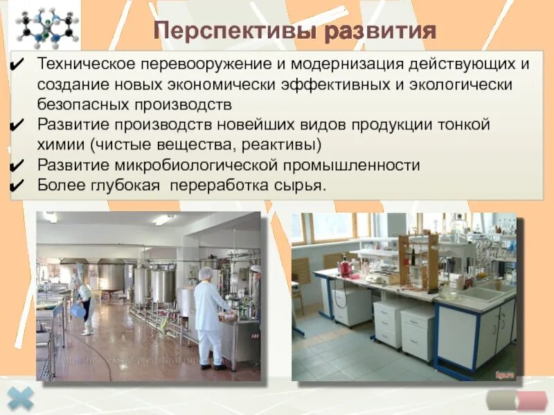 Перспективы развития производства. Перспективы развития завода. Тонкая химия продукция. Основные перспективы развития химической промышленности. Безопасность производства развитие