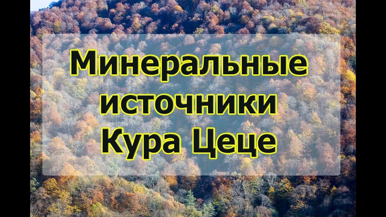 Горячий ключ це ЦЕЦЕ кура. Хутор кура ЦЕЦЕ Краснодарский. Кура-ЦЕЦЕ база.