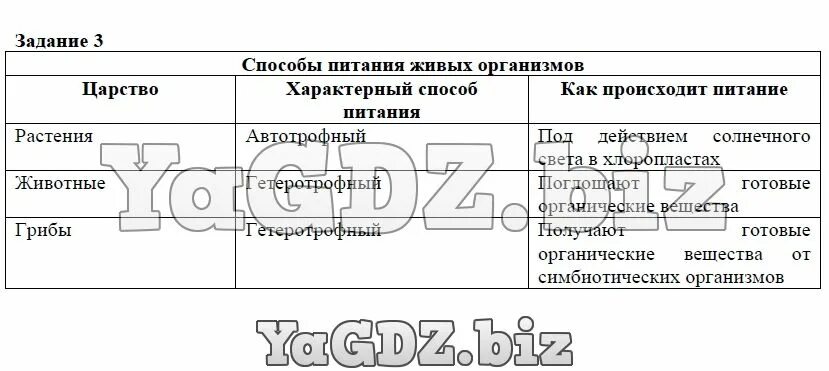 Заполните таблицу способы питания живых организмов