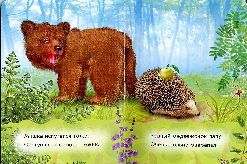 Читать мой любимый не медведь. Мой любимый медвежонок. моему любимому медвежонку.