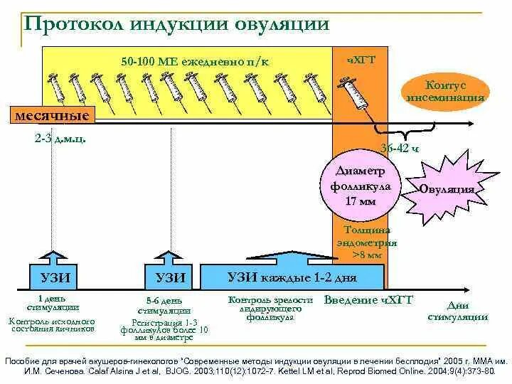 Протокол овуляции