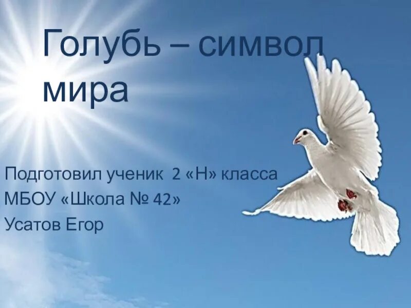 Голубь это символ. Что символизирует голубь. голубь символ чего.