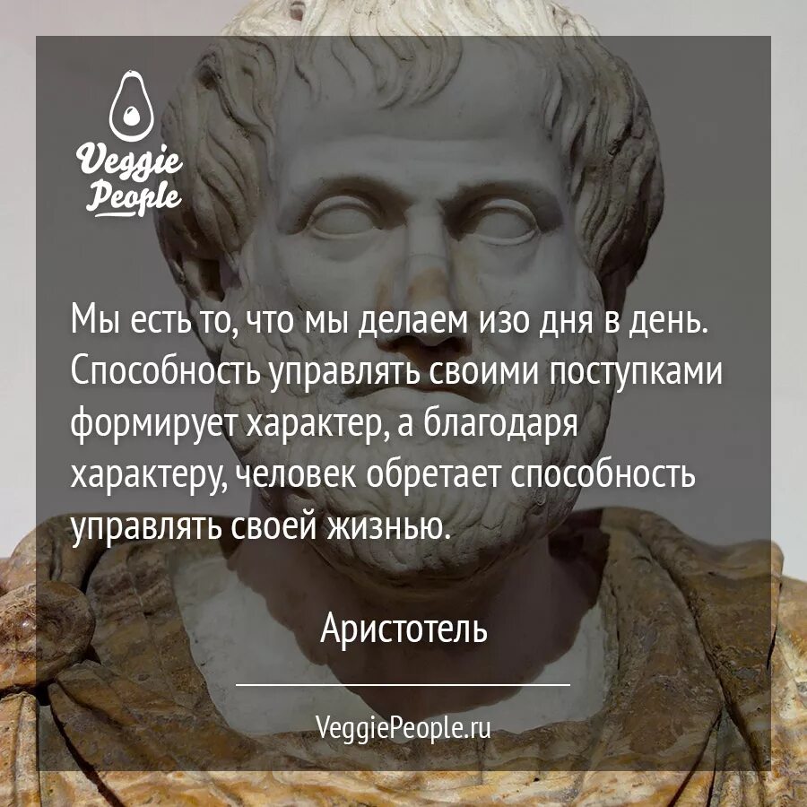 Аристотель цитаты. Высказывания аристотеля. аристотель цитаты о жизни. цитаты аристотеля о философии.