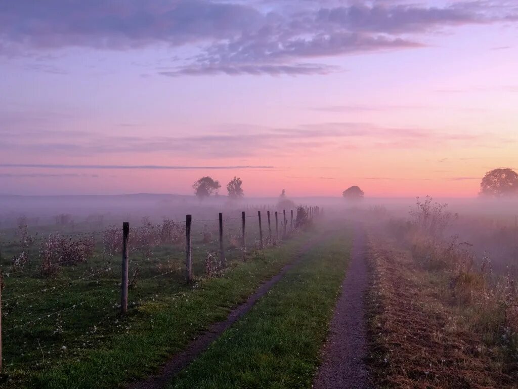 Рассвет туман. Утро рассвет зима. Туман на реке. Белоруссия природа эстетика. Туманное озеро.