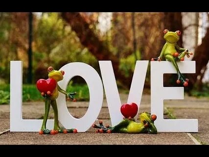 Week lover