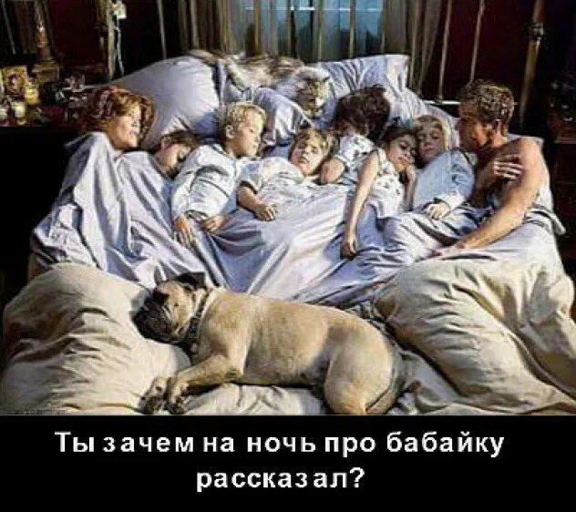 фото разных зверей Основной альбом - Фотография 58 из 62 ВКонтакте