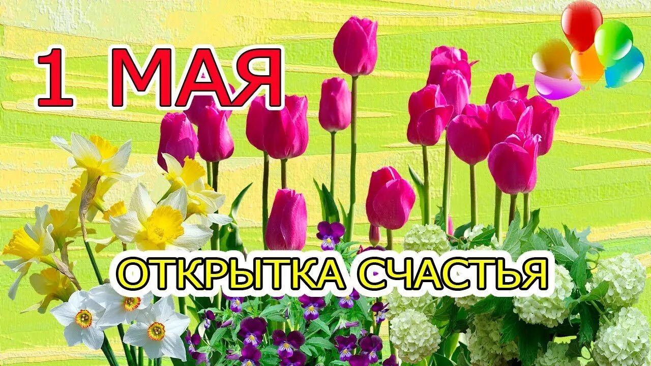 Видео поздравление с 1 мая. 1 Мая. Первое мая картинки. Счастливого 1 мая. 1 Мая открытка счастья.