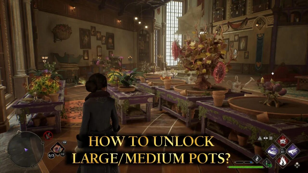 Выручайте комната hogwarts. Room of requirement hogwarts legacy. выручай-комната хогвартса легаси. хогвартс легаси выручай комната. хогвартс легаси спальни.
