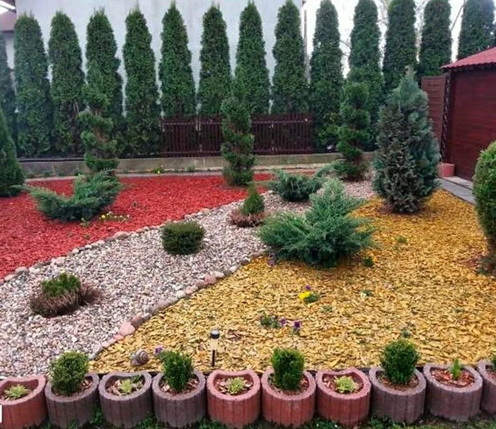 Мульча туя