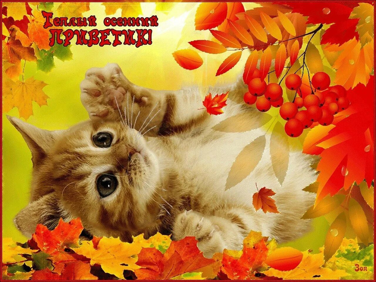Осенние пожелания доброго утра картинки. Чудесной осени. Тёплая осень. Осенние открытки. Хорошего осеннего дня.