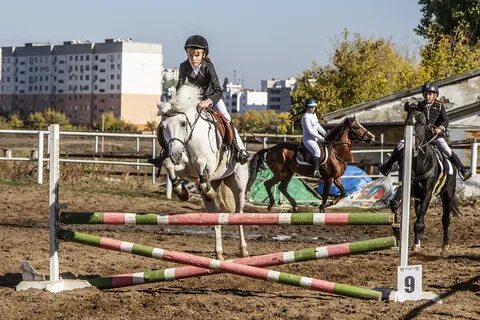 Конный коуб