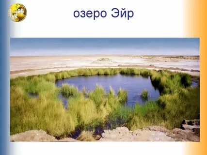Озеро эйр соленое или пресное