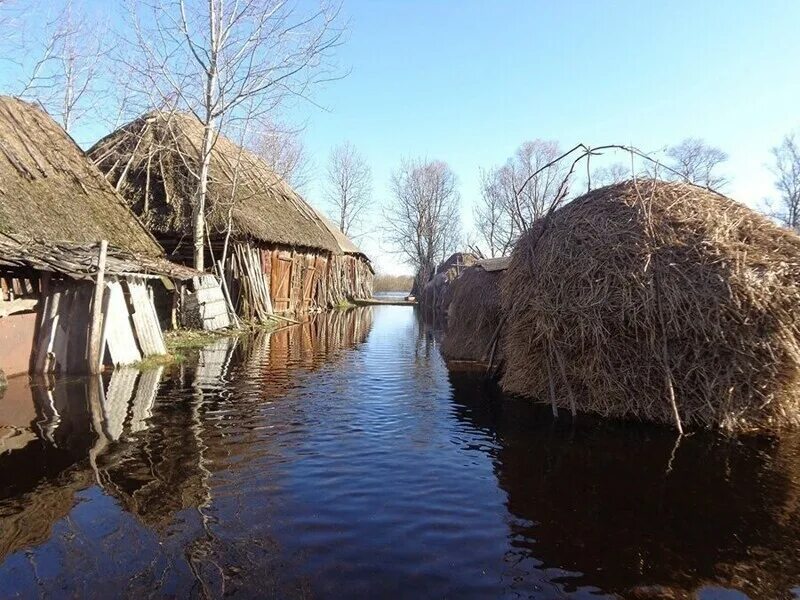 Кудричи деревня Пинского района. Кудричи на Полесье. Деревни в Полесье Беларусь. Кудричи Луганск.