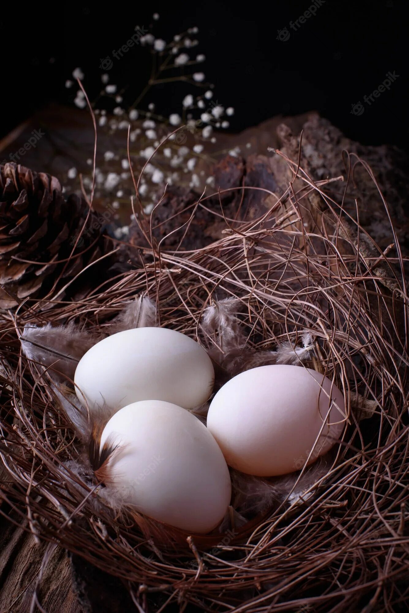 К чему снится куриное гнездо. Гнездо с яйцами. Куриные яйца в гнезде. Три яйца в гнезде. Куриные яйца во сне.