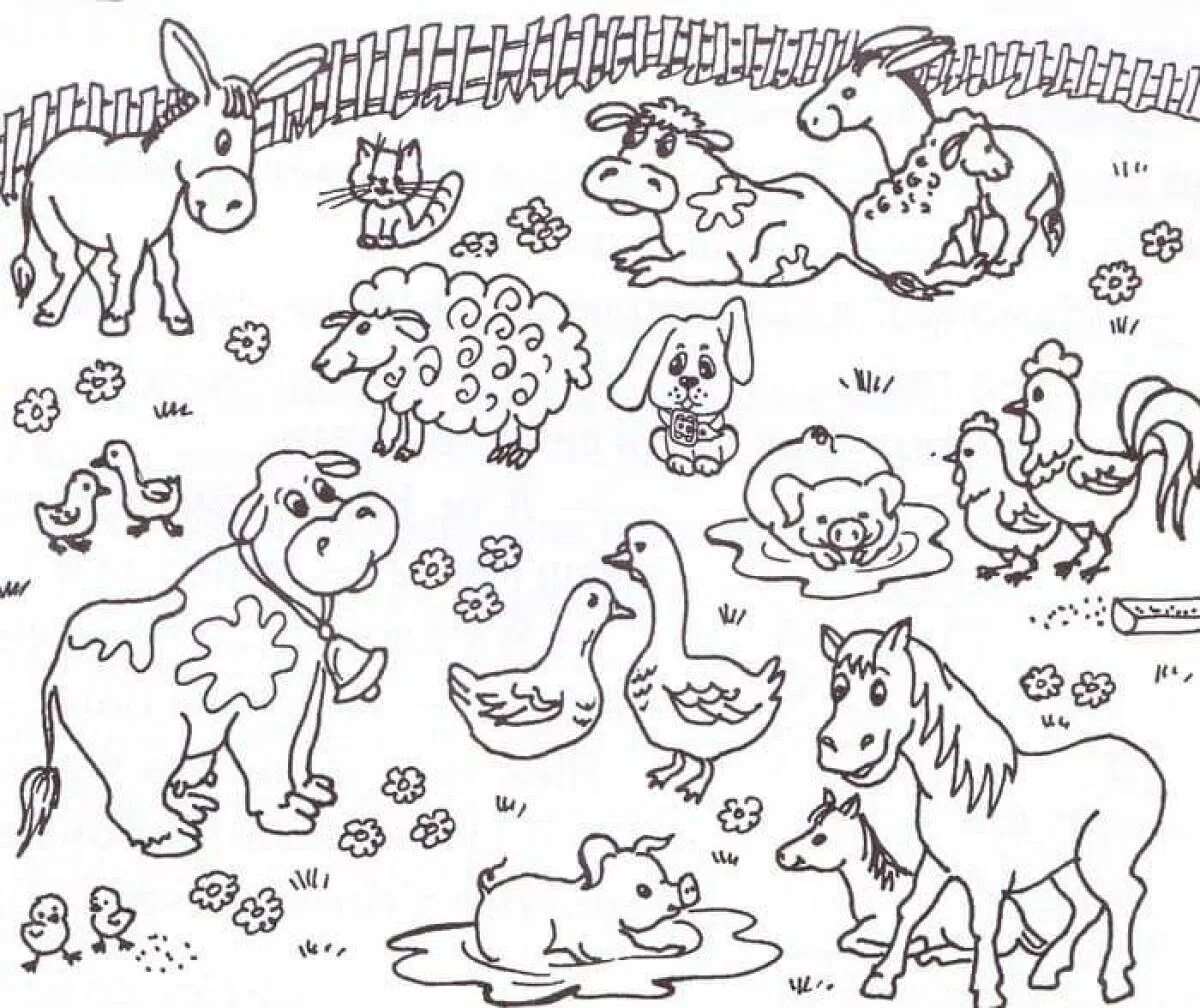 Животные группами раскраски. Раскраски животные для детей. Домашний животные раскраска. Домашние животные раскраска для детей. Рисунки разных животных.