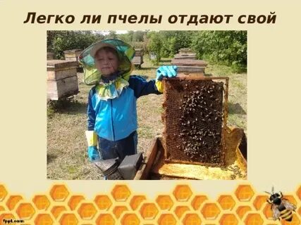 Отдавай зерно