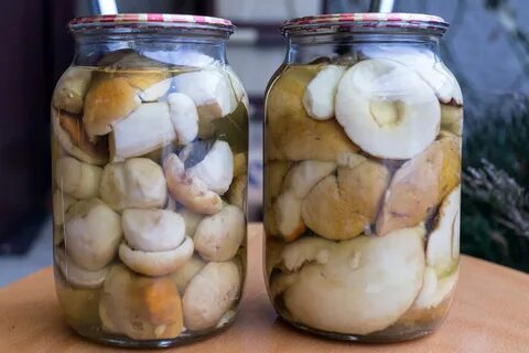 Замариновать грибы в банке