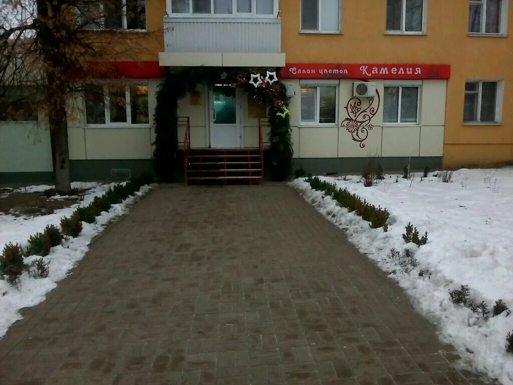 цветы шебекино. шебекино растения в городе. краснояружский р-н, п. цветы шебекино. ул.