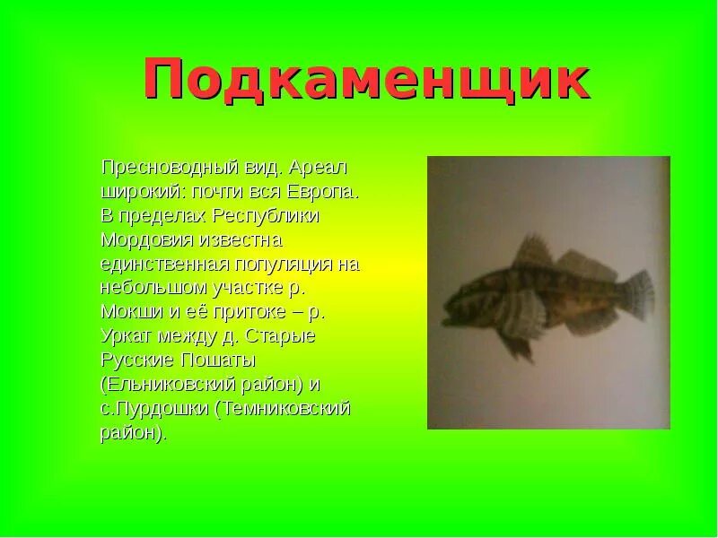 Рак занесен в красную