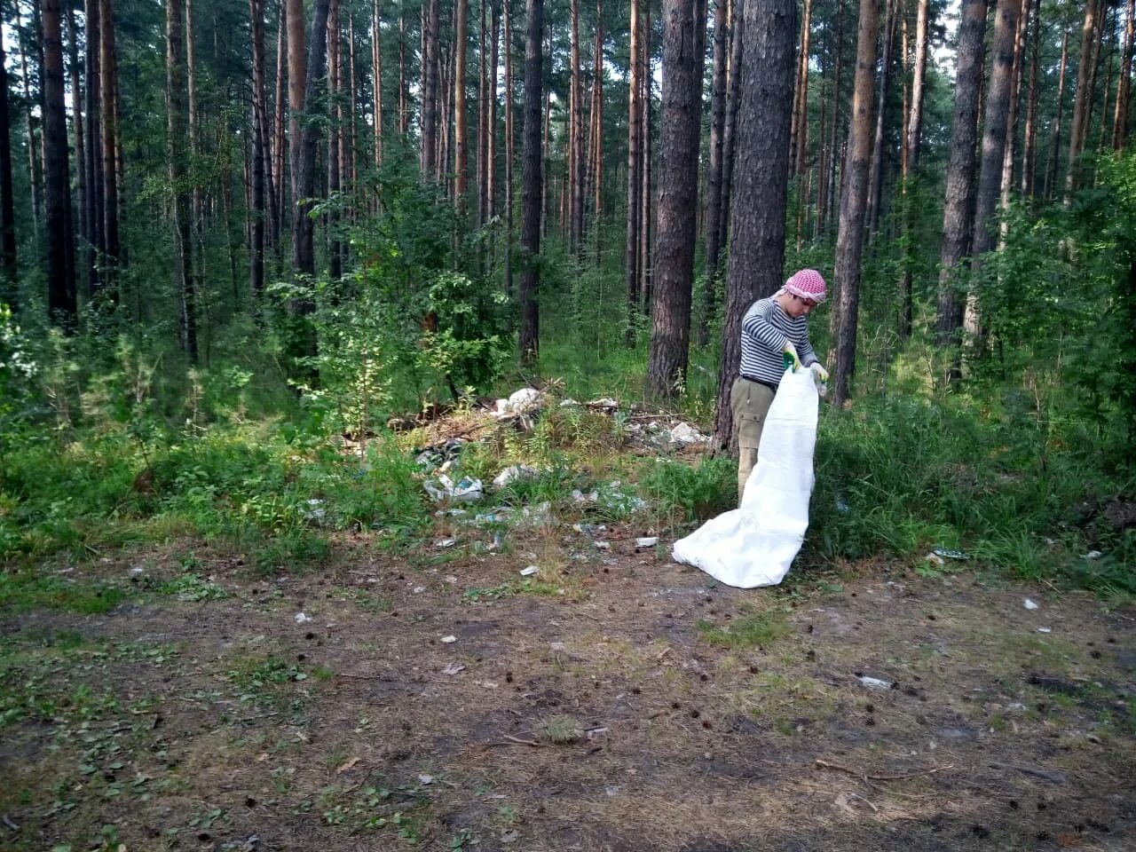 МПР НСО. Министерство природных ресурсов и экологии Новосибирской области. Аваилесохара НСО МПР НСО. Картинка природа и экология Новосибирской области. Сайт экологии новосибирской области