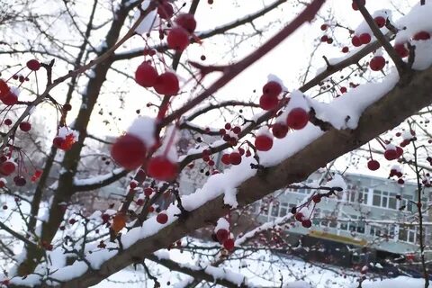 Плюсовая погода в феврале