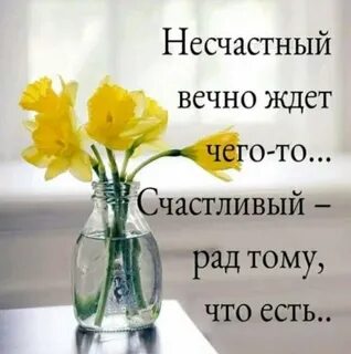 Цветы вечно говоря