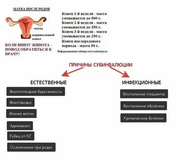 После родов заниматься любовью