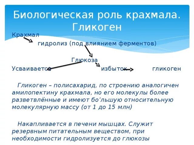 Гликоген биологическая роль. Биологическая роль крахмала и гликогена. Биологическая роль амилозы. Гликоген биороль.