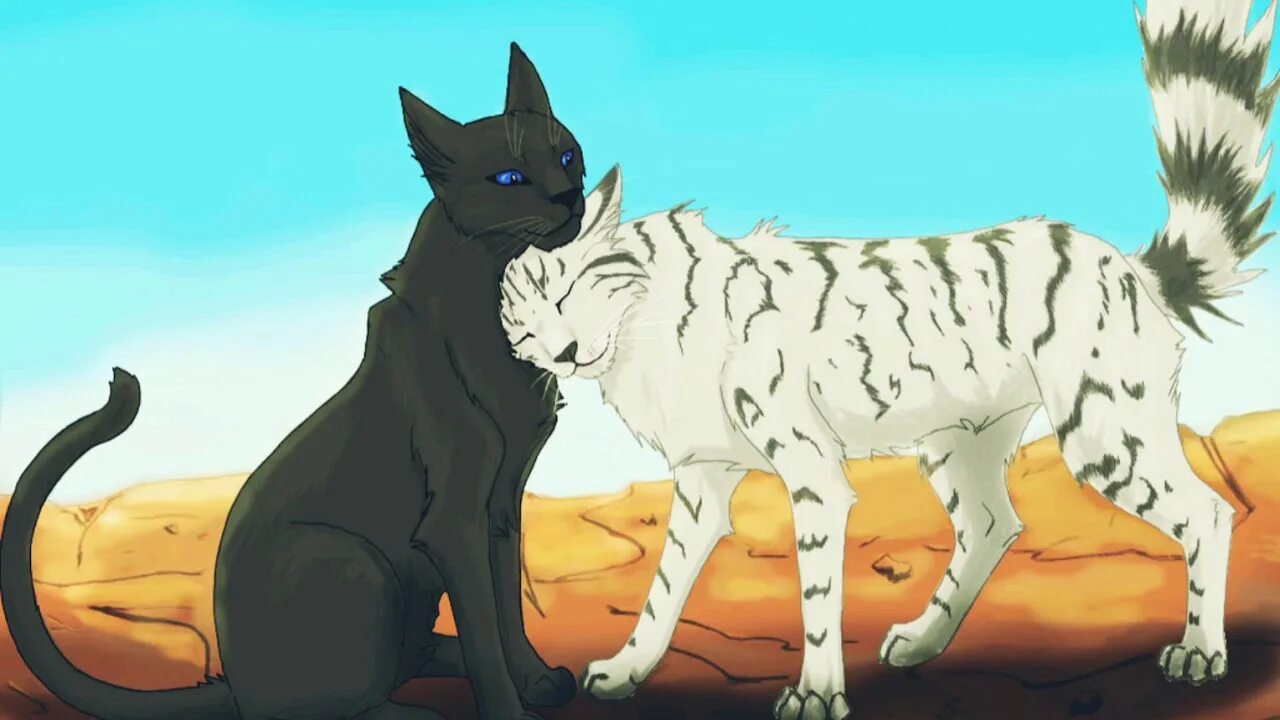 Грач и ласточка. Коты воители ласточка и грачик. коты воители грач и ласточка. коты воители ласточка. коты воители мласточка.