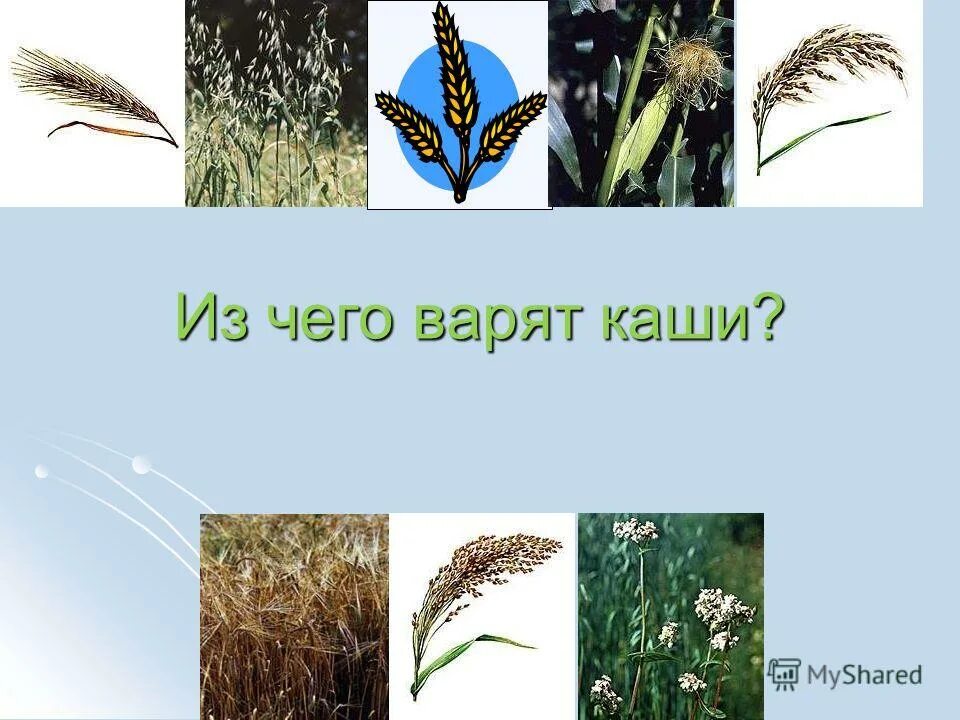 ячмень нур. на складе были пшеница овес. гдз по математике упражнение 757 задача. на складе были пшеница овес.