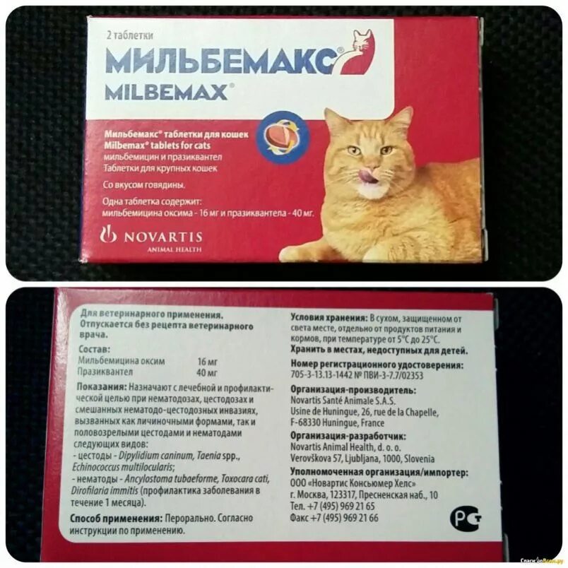 Мильбемакс для кошек как давать. Таблетки от глистов для котят мильбемакс. от глистов кошкам мильбемакс. таблетки от блох для кошек мильбемакс. мильбемакс антигельм. д/кошек 2табл.