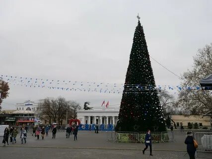 Елки севастополь