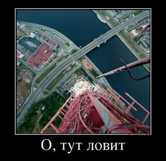 Ловил здесь